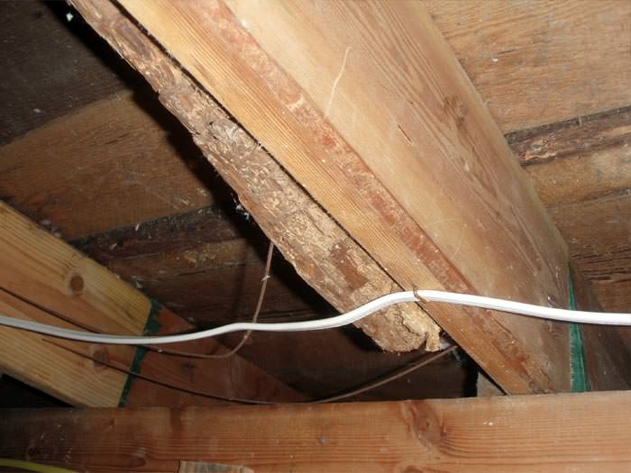 Building Code How Much Weight Can Put On Floor Building Code How Much Weight Can Put On Floor