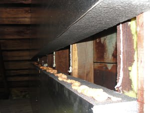 An effective attic insulation system in a Winchester home