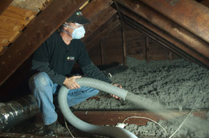 Insulation Service